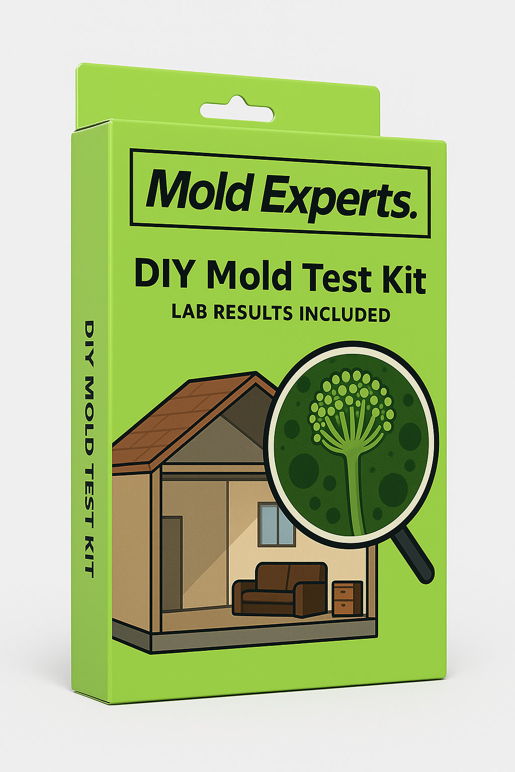 DIY Mold Test Kit